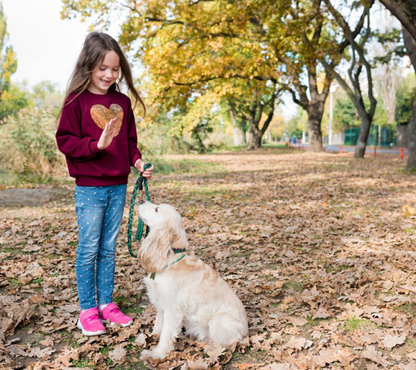 犬のしつけってどんなしつけがある？しつけをしないと何が問題なの？