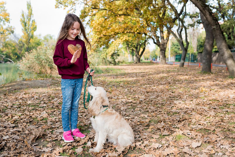 犬のしつけってどんなしつけがある？しつけをしないと何が問題なの？