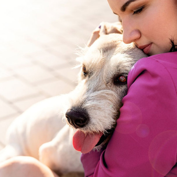 ミックス犬の人気ランキング10選！