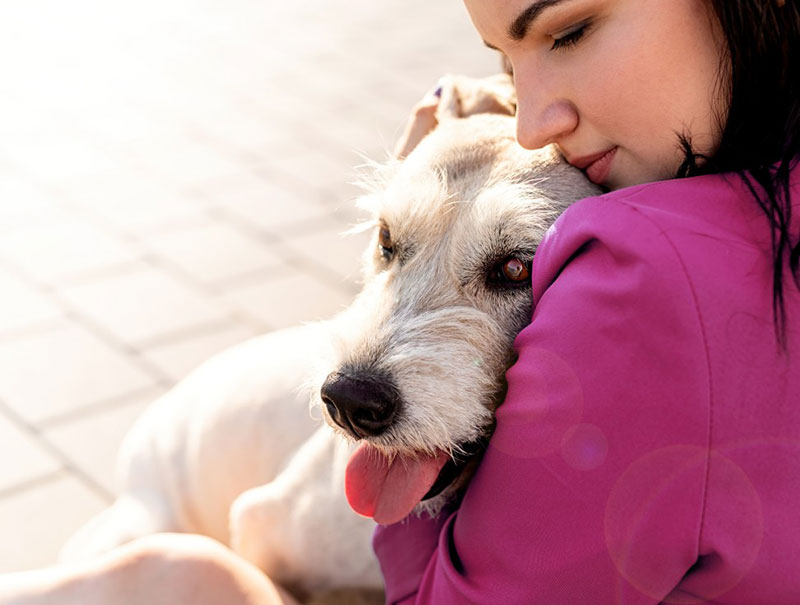 ミックス犬の人気ランキング10選！